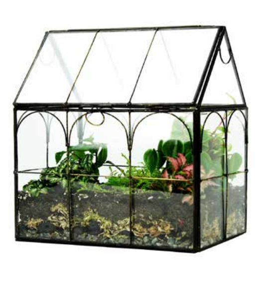 TERRARIUM WARDIAN HOUSE 