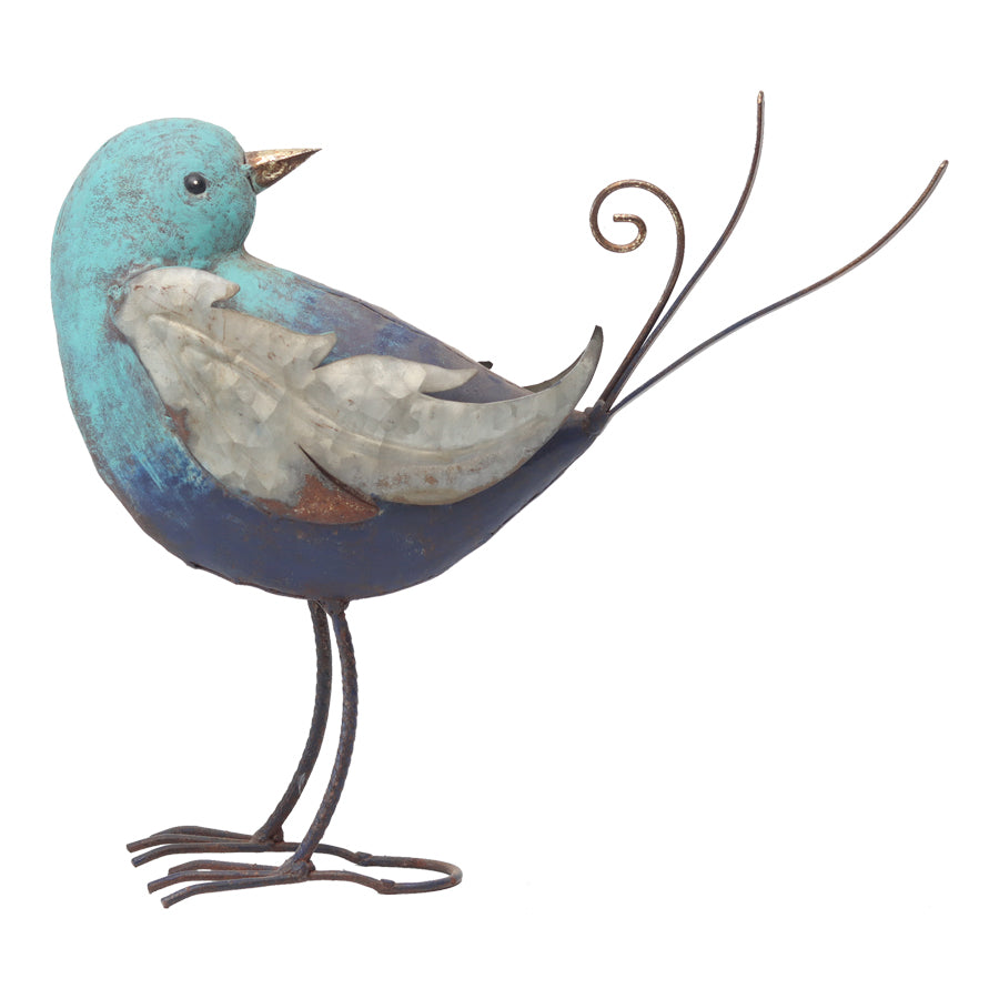 Bluebird w/ Galv Wings Looking Back