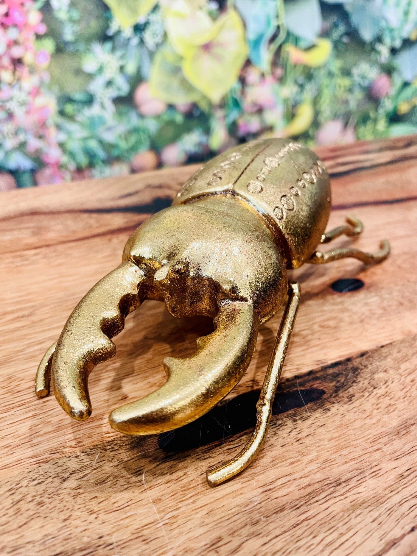 Beetle Gold 18cm