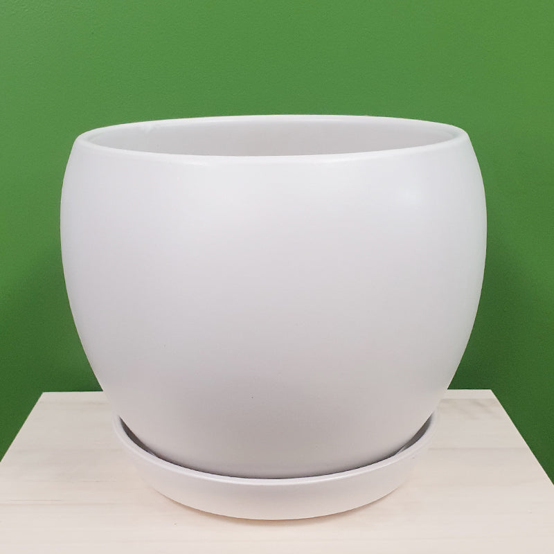 BALL POINT PLANTER [Sz:Xtra Large Col:WHITE]