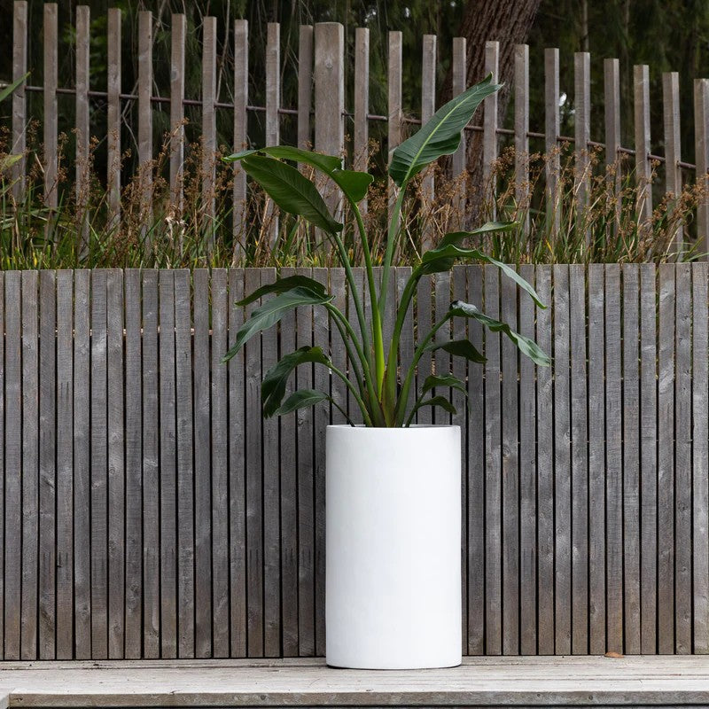 SAXON CYCLINDER PLANTER [Sz:Large Col:WHITE]