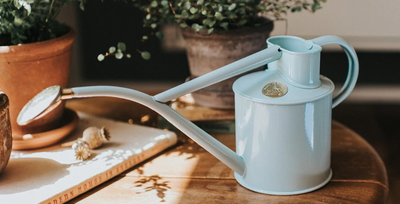 The Rowley Ripplie Duck Egg Blue Two Pint