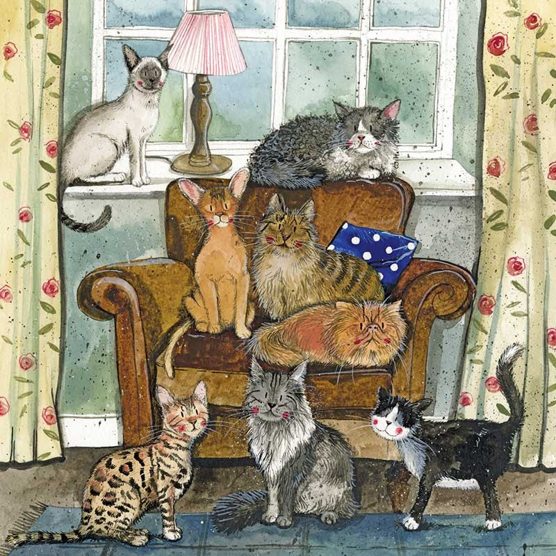 CAT HOUSE