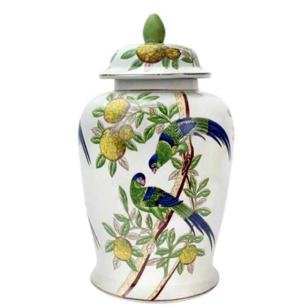 OISEAUX-CITRON GINGER JAR