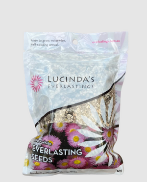 Lucinda's Pink & White EVERLASTING SEEDS 10G