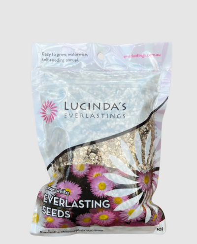 Lucinda's Pink & White EVERLASTING SEEDS 10G