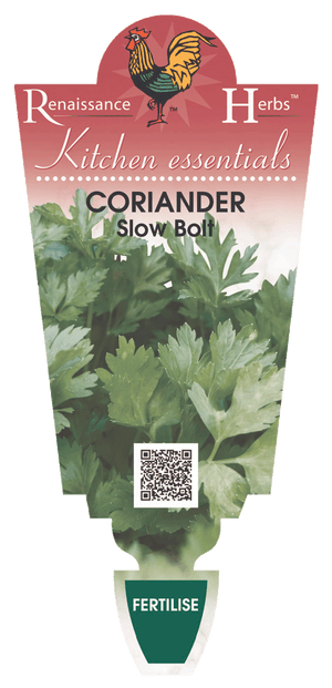 CORIANDER SLOW BOLT 100MM
