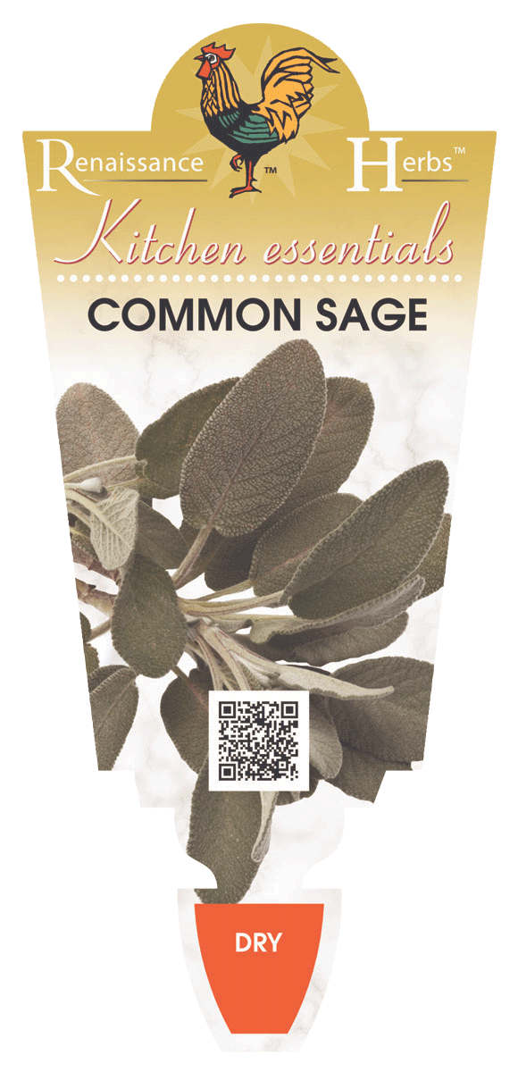 Sage