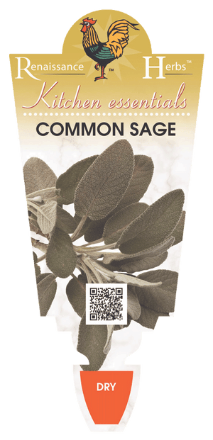 Sage