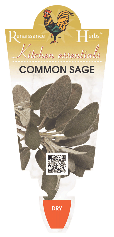 Sage