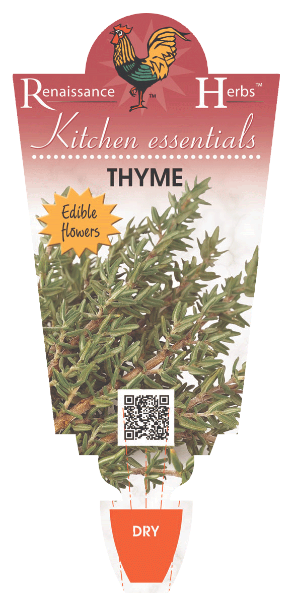 THYME 100MM