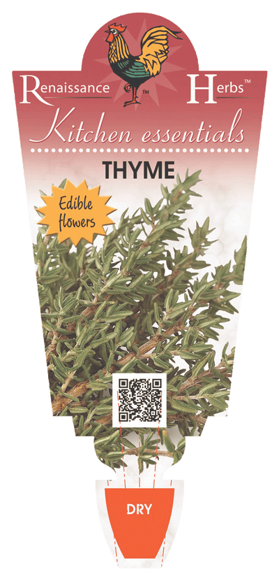 THYME 100MM