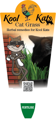 CAT GRASS 100MM