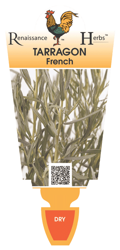 TARRAGON FRENCH 100MM