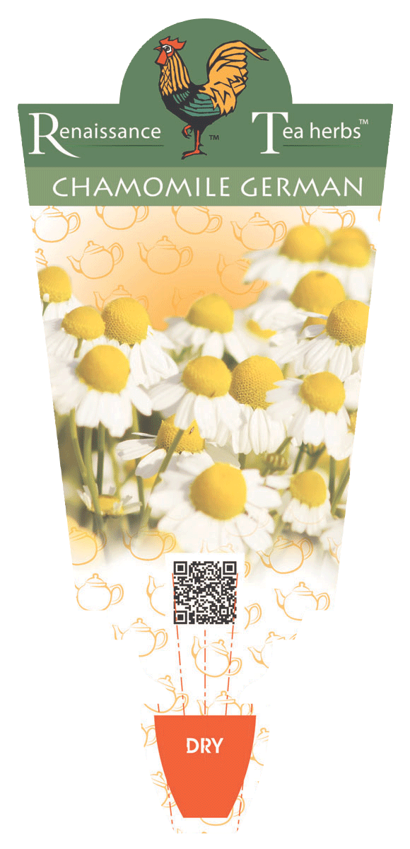 Chamomile German