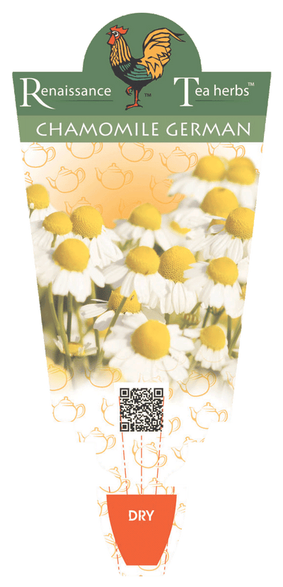 Chamomile German