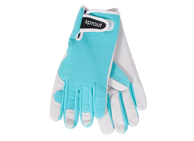 SPROUT GOATSKIN GLOVES [Col:SEA SPRAY]