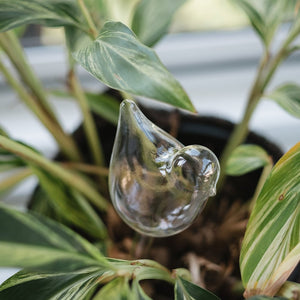 PLANT WATER BUBLE TOP FILL - BIRD