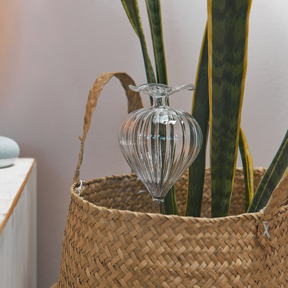 PLANT WATER BUBLE TOP FILL - BULB