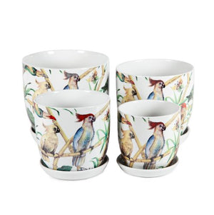 Tulip Pot w/scr Birds [Sz:Small]