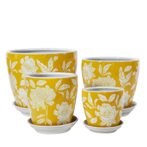 SUNSHINE PLANTER W/SCR [Sz:D12.5CM]