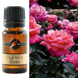 GUMLEAF BLACK VELVET ROSE FRAGRANT OIL [Sz:10ML]