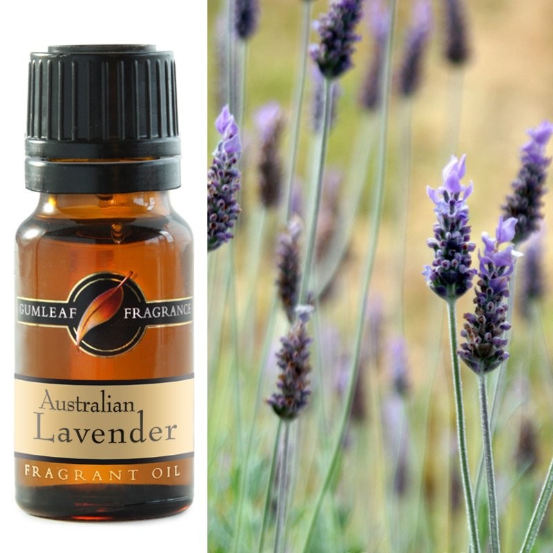 GUMLEAF AUSTRALIAN LAVENDER FRAGANT OIL 10ML