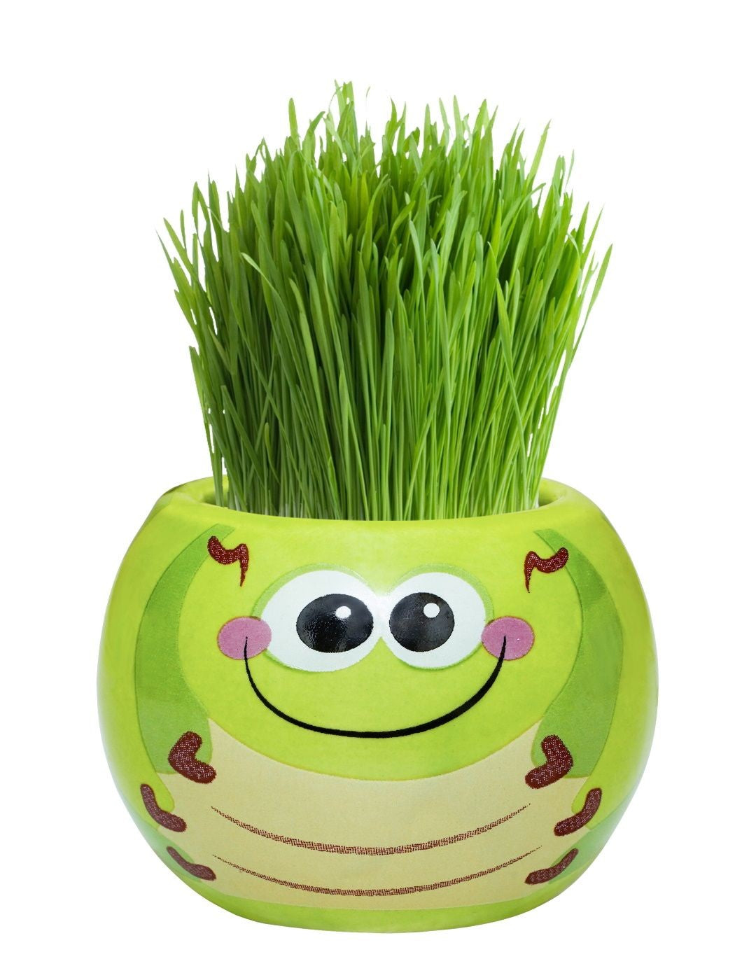 Friendly Bugs - Caterpillar