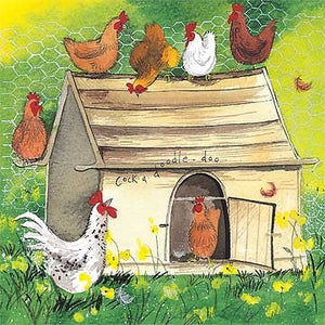 Chicken Coop