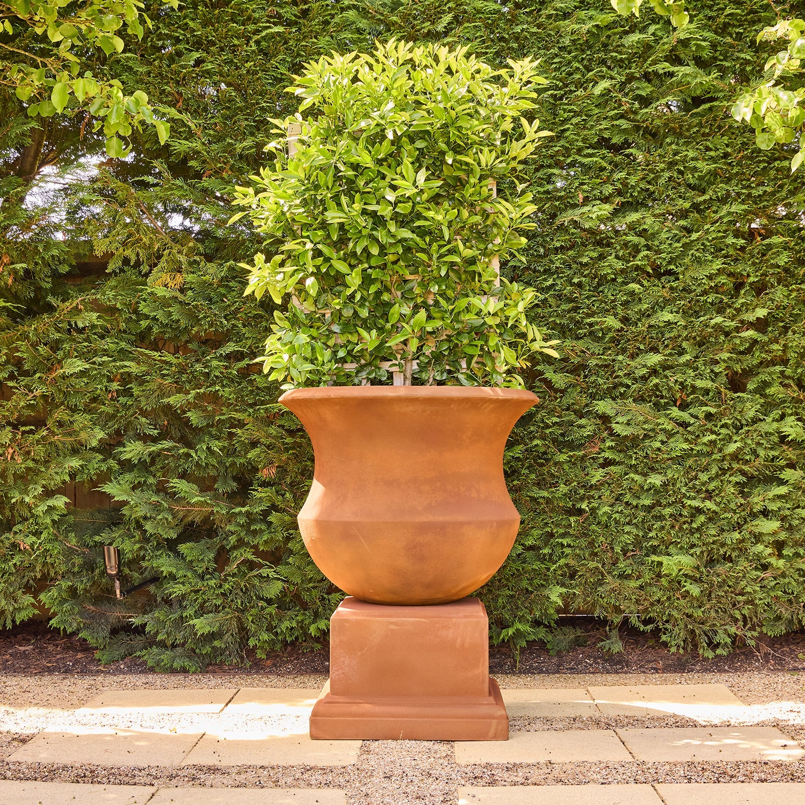Naples Urn & Pedestal – Garden Affair a Living Gift