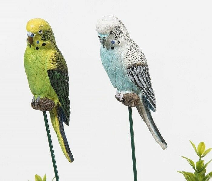 Budgies on a Stick