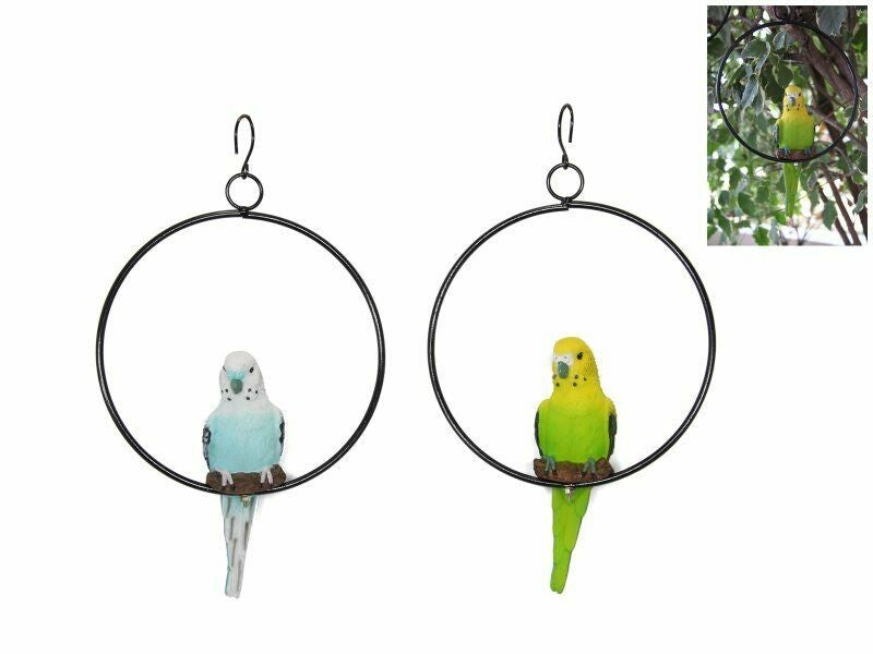 Budgies in a Ring 