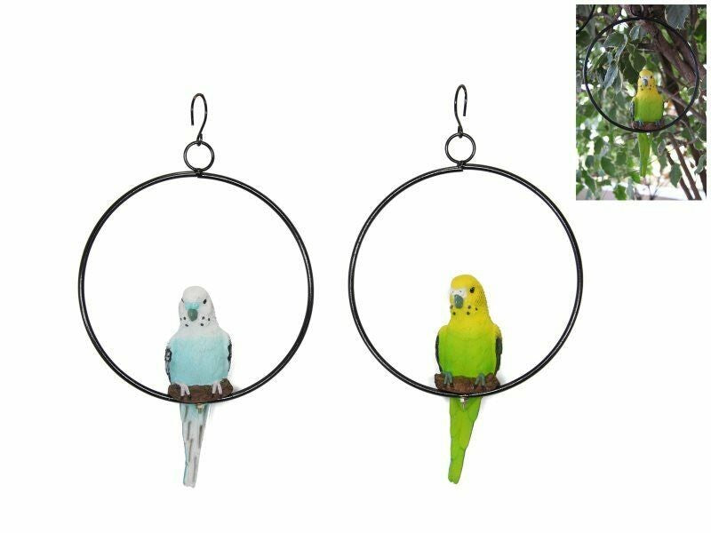 Budgies in a Ring