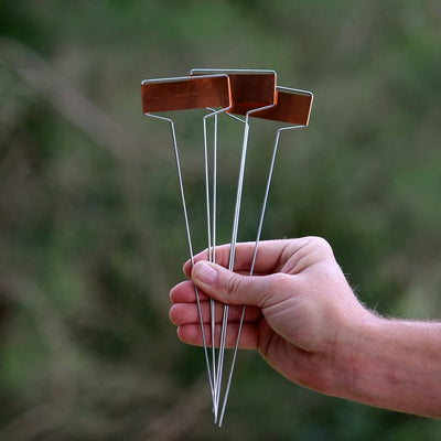 Copper Plant Label With Spike 6x2cm 10pk