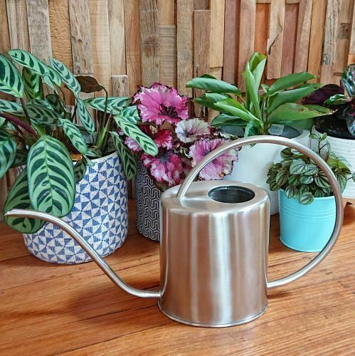 Stainless Steel Watering Can 1.5L