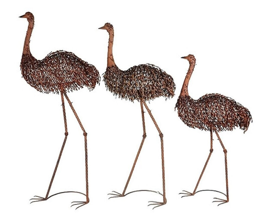 Ostrich