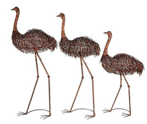 Ostrich [Sz:Small]