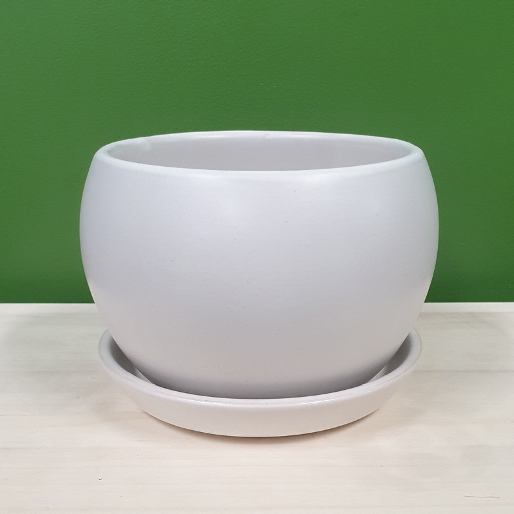 BALL POINT PLANTER [Sz:Medium Col:WHITE]