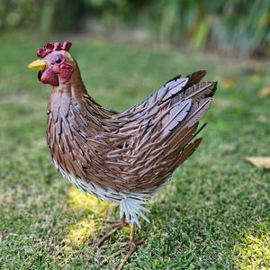 BROWN HEN 