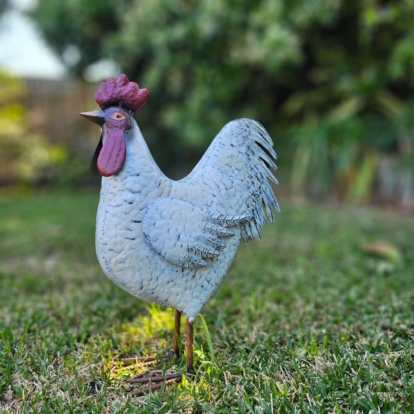WHITE ROOSTER