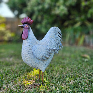 WHITE ROOSTER